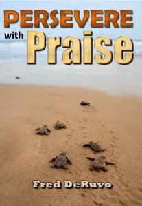 A new book to remind me of all the times I should have been praising Him (tentative cover).