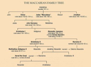 maccabeantree