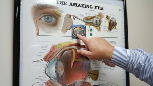 My eye doctor giving me a quick lesson in seeing. He is pointing to an image of the human head if we were looking down on it from above.