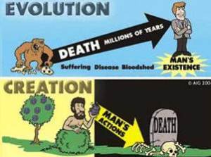 copyright to creator of image