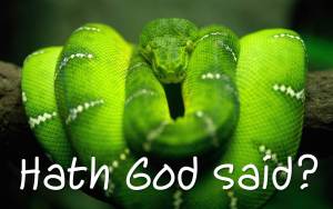 serpent_hath_god_said